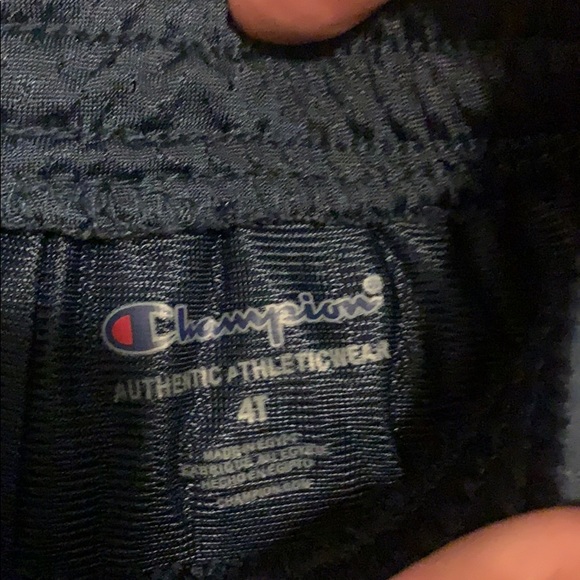 Champion - Picture 2 of 4